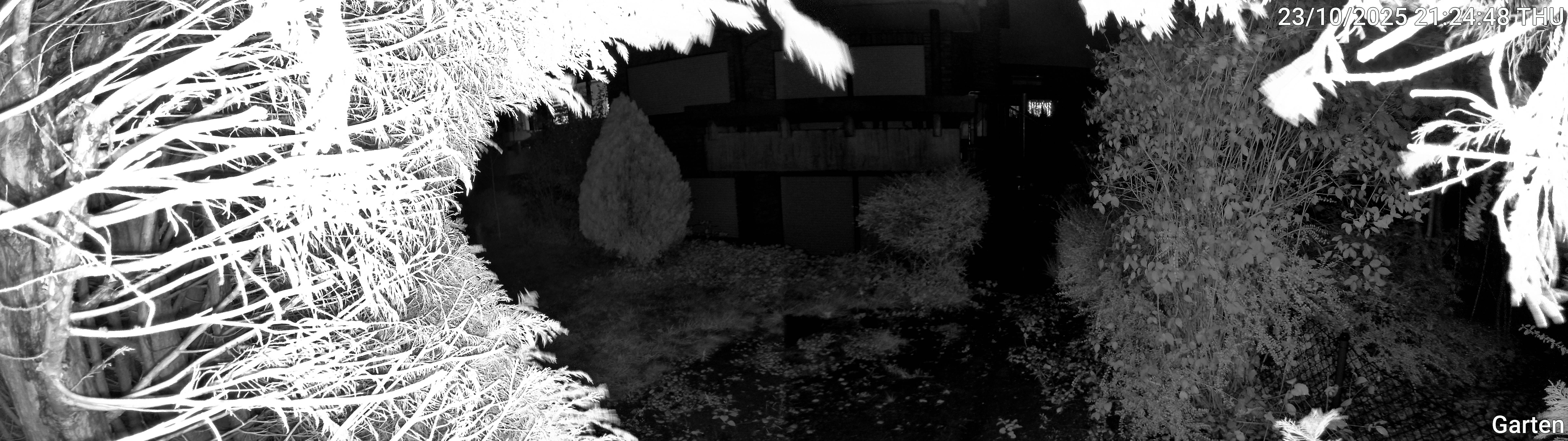 Garten_00_20251023212448.jpg