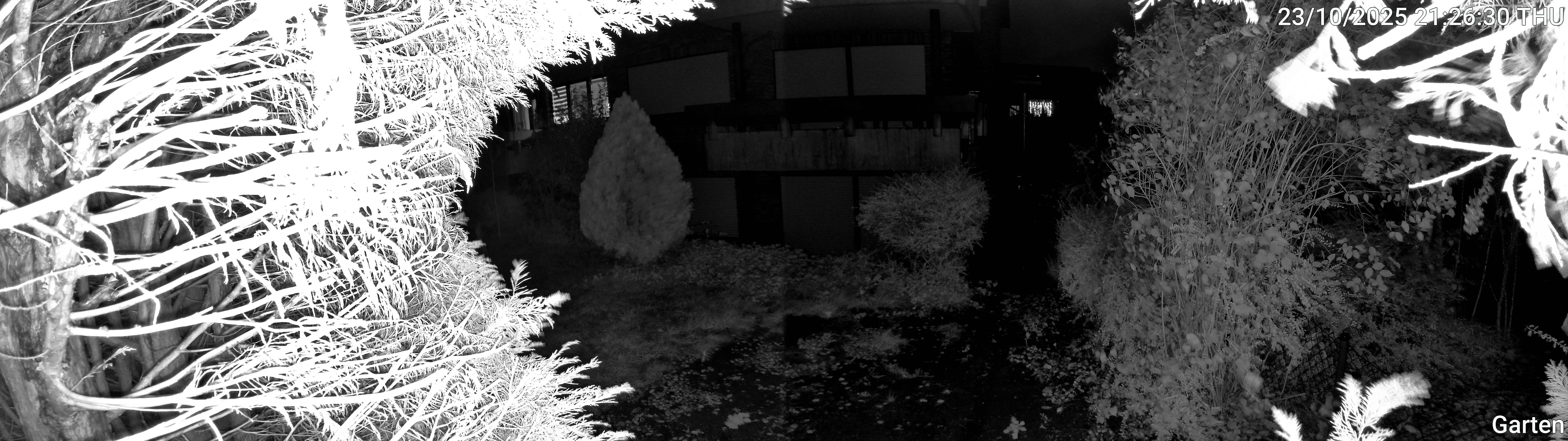 Garten_00_20251023212630.jpg