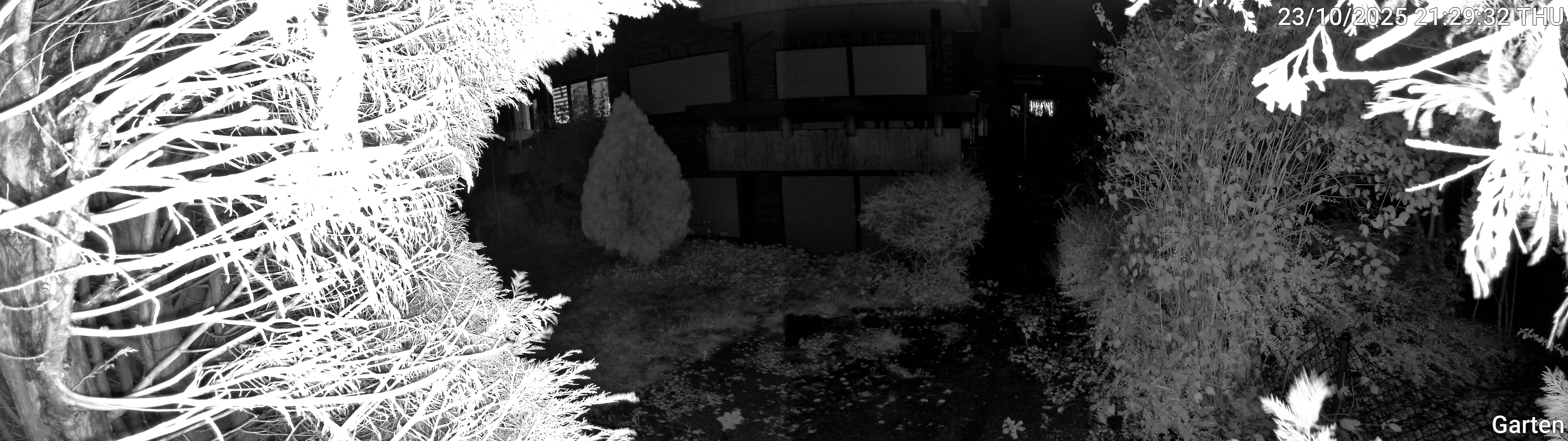 Garten_00_20251023212932.jpg