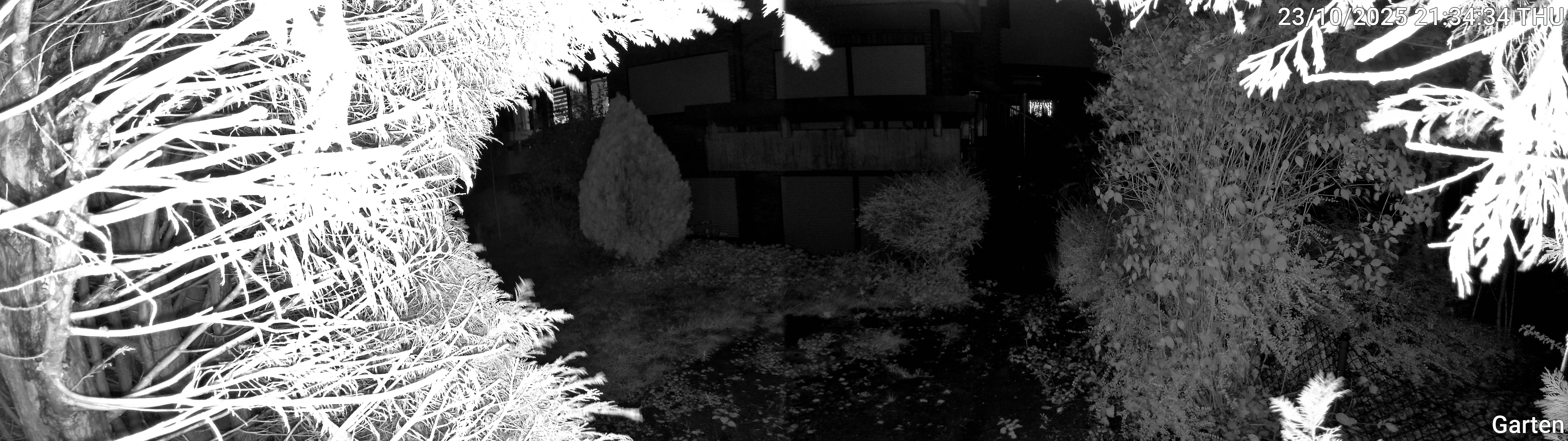 Garten_00_20251023213434.jpg