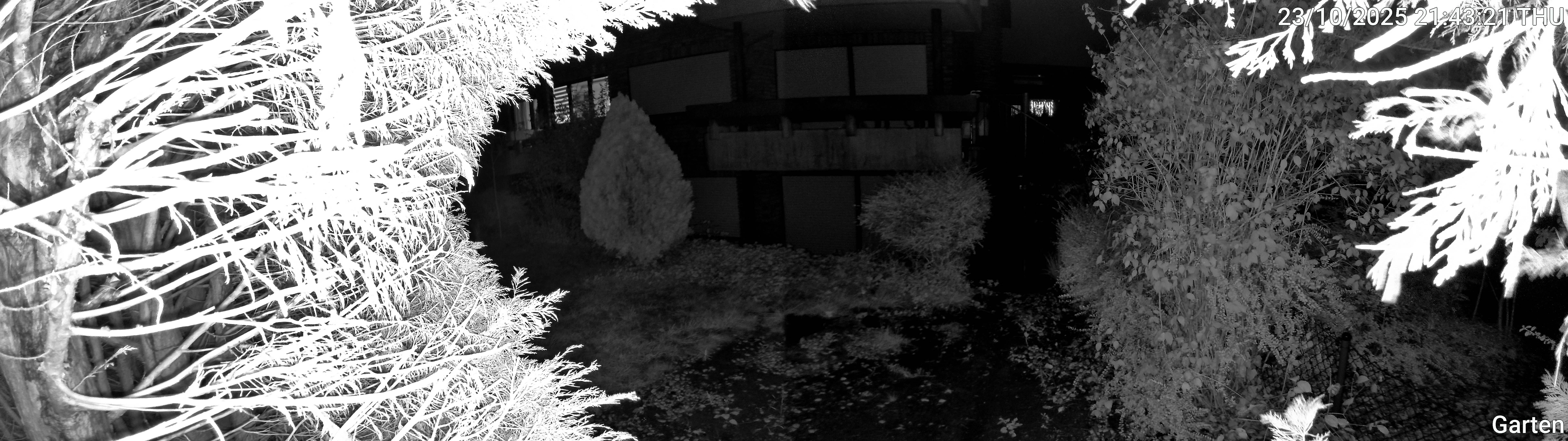 Garten_00_20251023214321.jpg