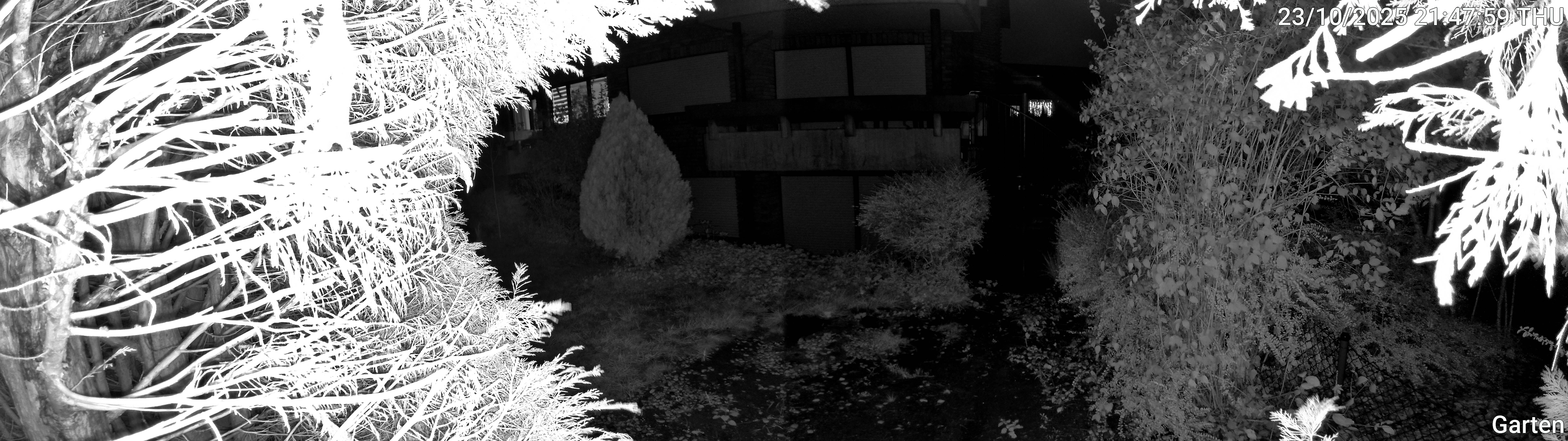 Garten_00_20251023214759.jpg
