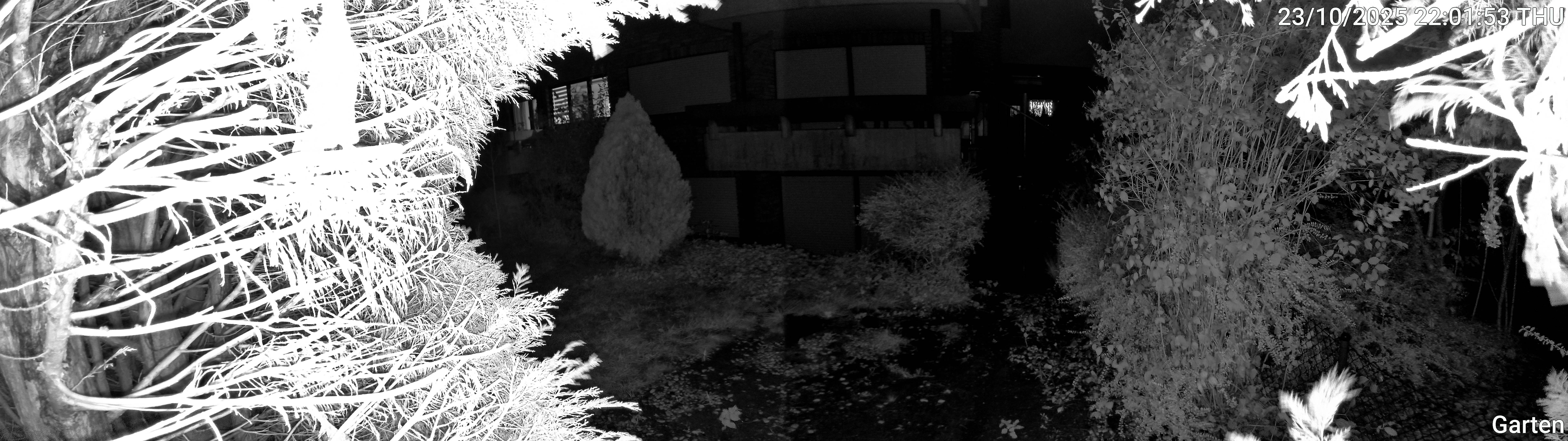 Garten_00_20251023220153.jpg