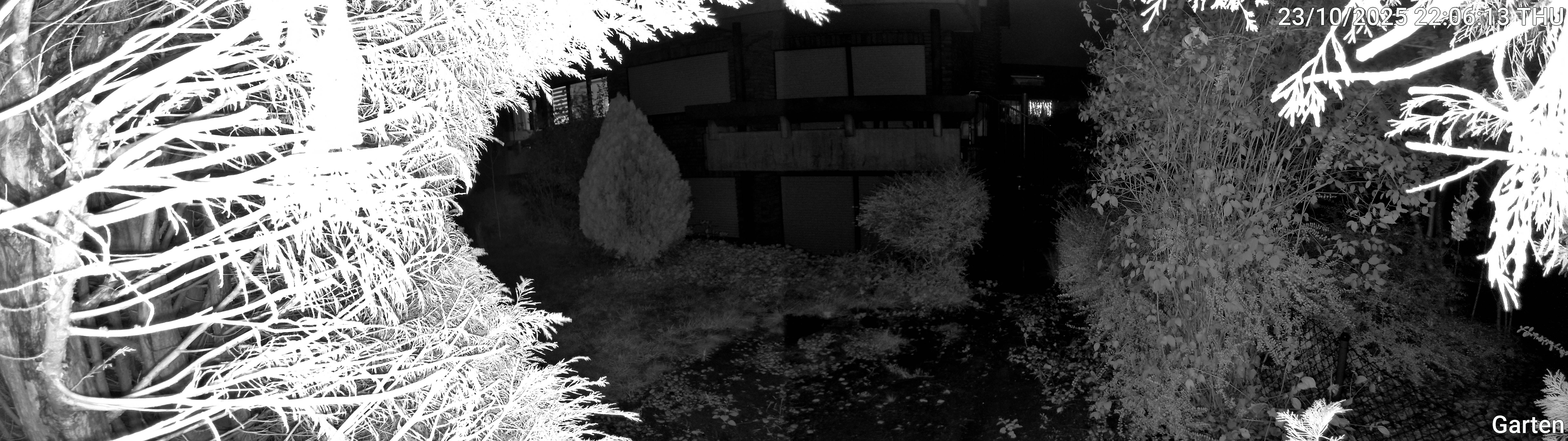 Garten_00_20251023220613.jpg