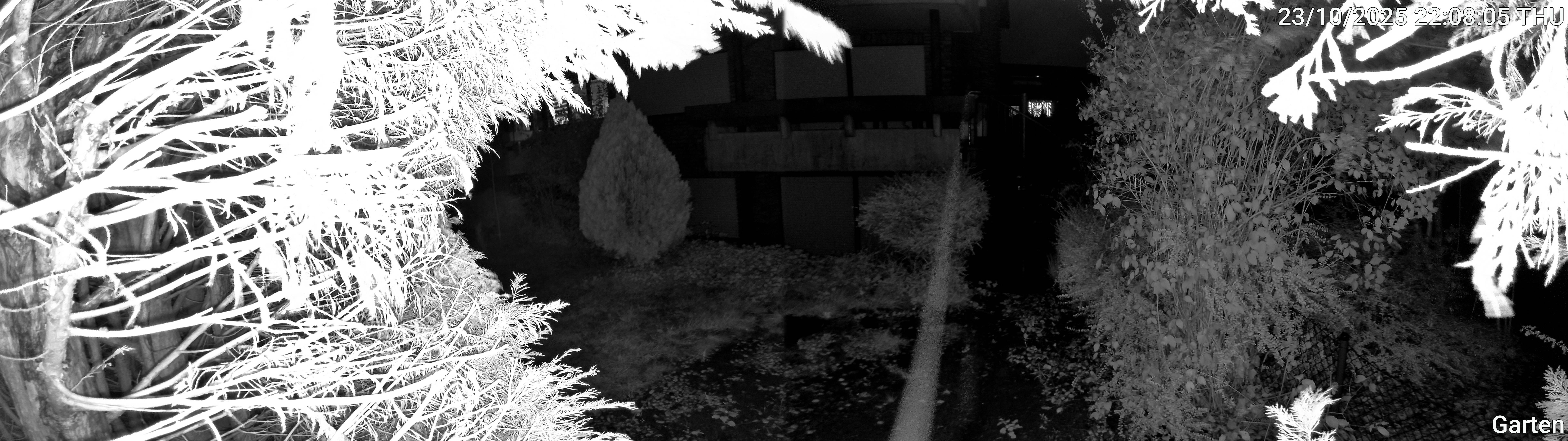 Garten_00_20251023220806.jpg