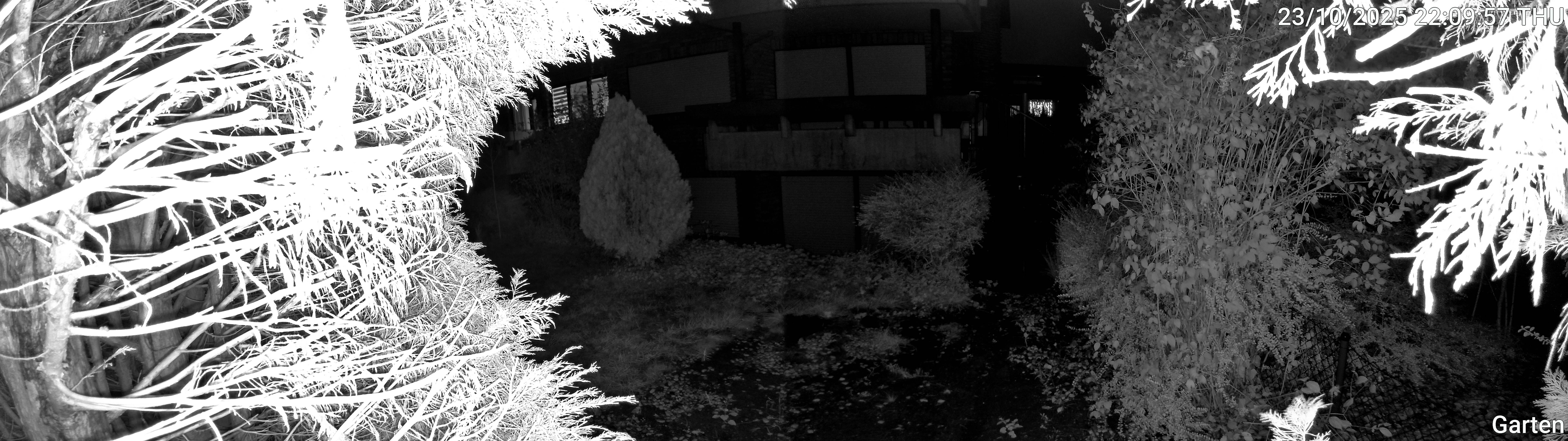 Garten_00_20251023220957.jpg