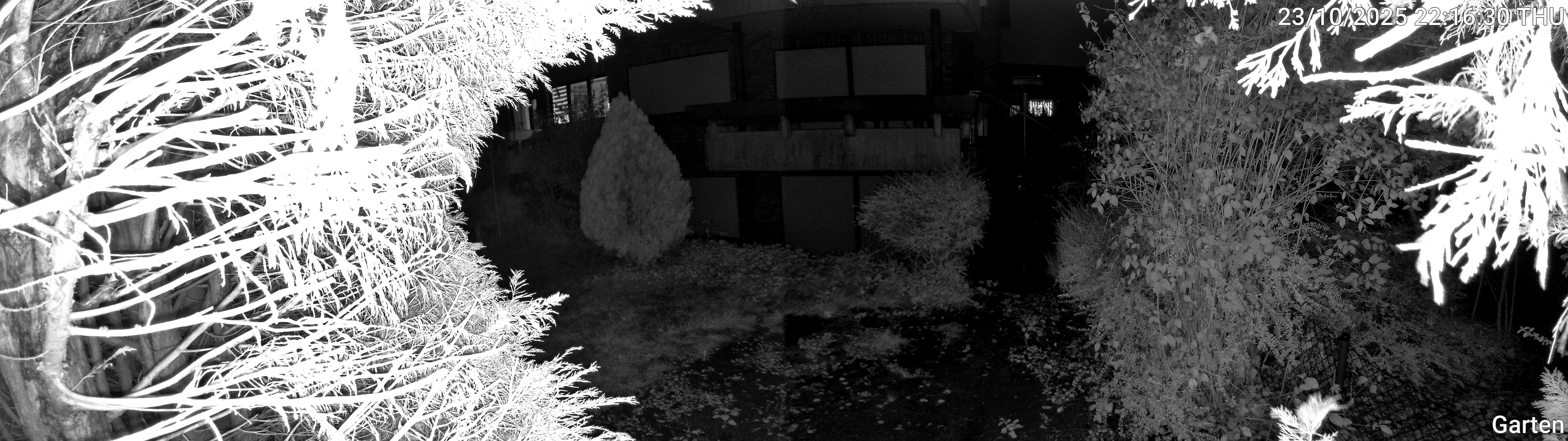Garten_00_20251023221630.jpg