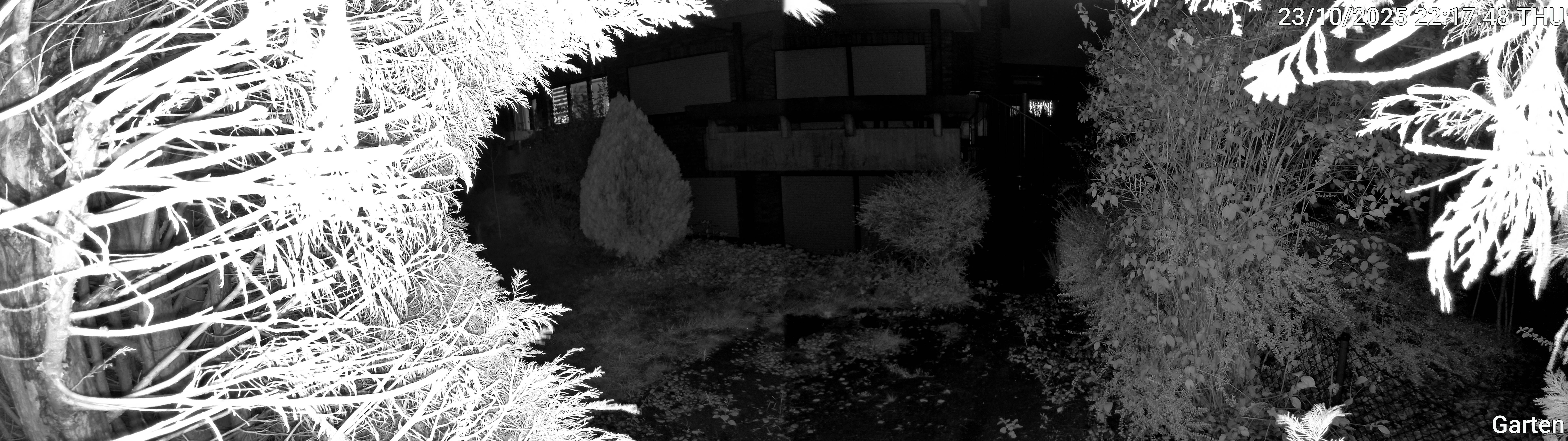 Garten_00_20251023221748.jpg