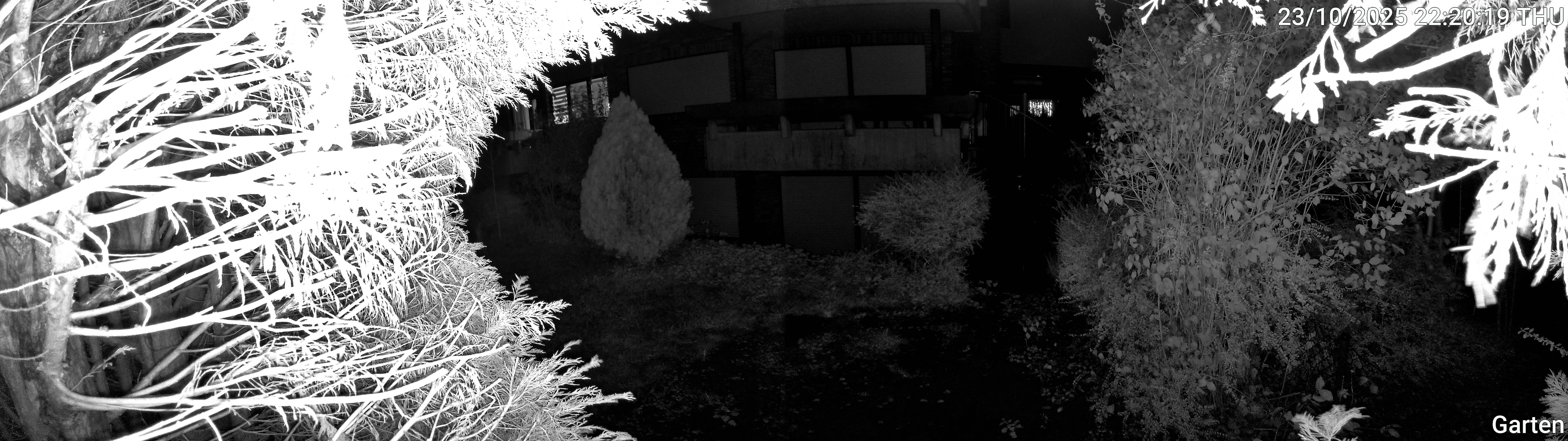 Garten_00_20251023222019.jpg