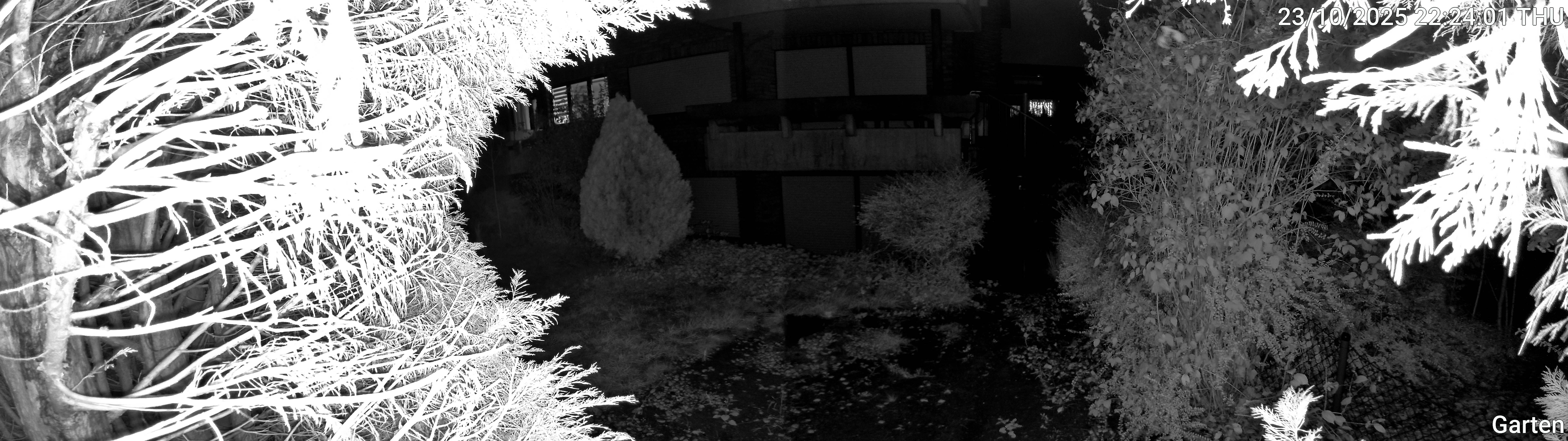 Garten_00_20251023222401.jpg