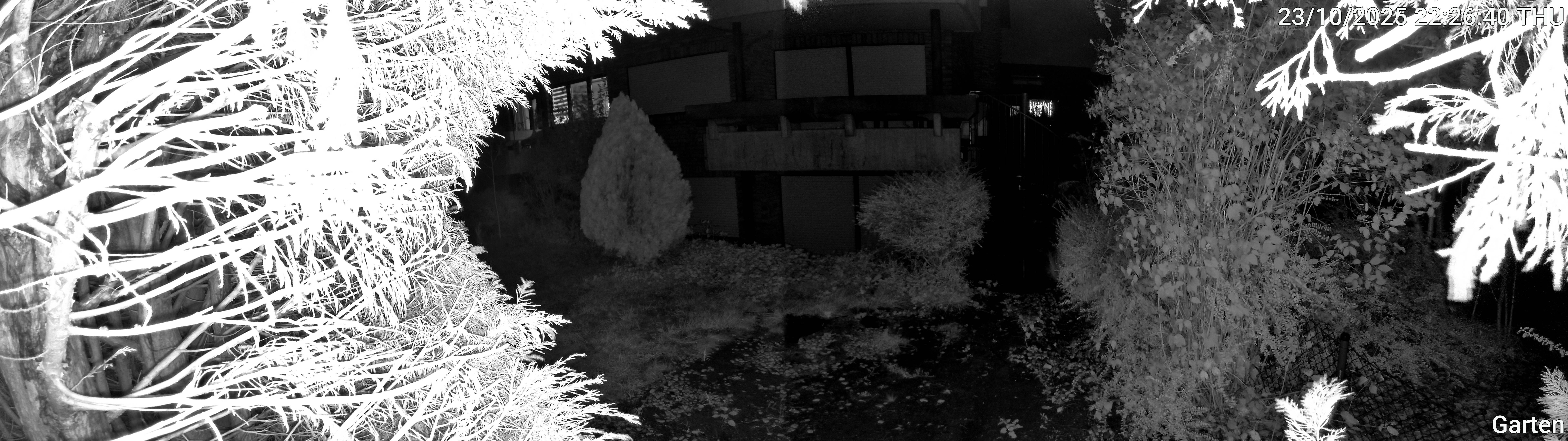 Garten_00_20251023222640.jpg