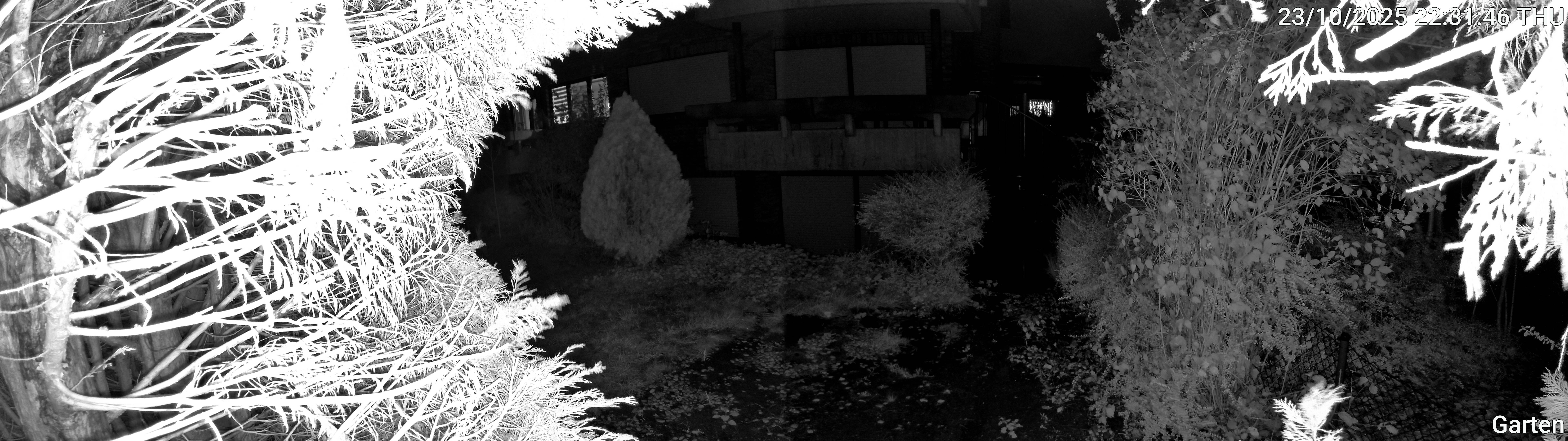Garten_00_20251023223146.jpg