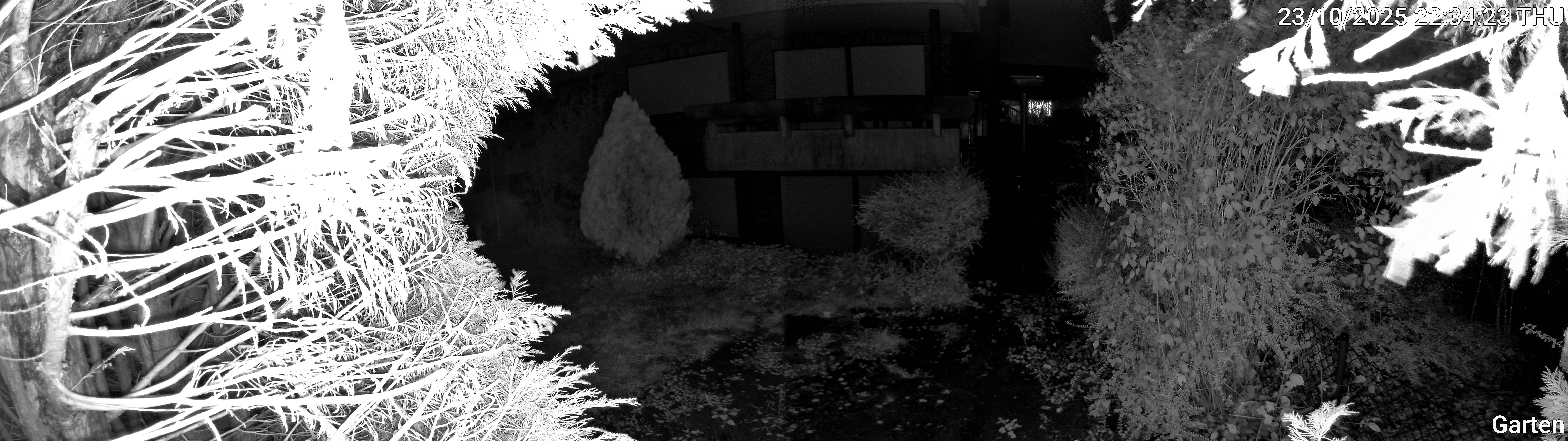 Garten_00_20251023223424.jpg