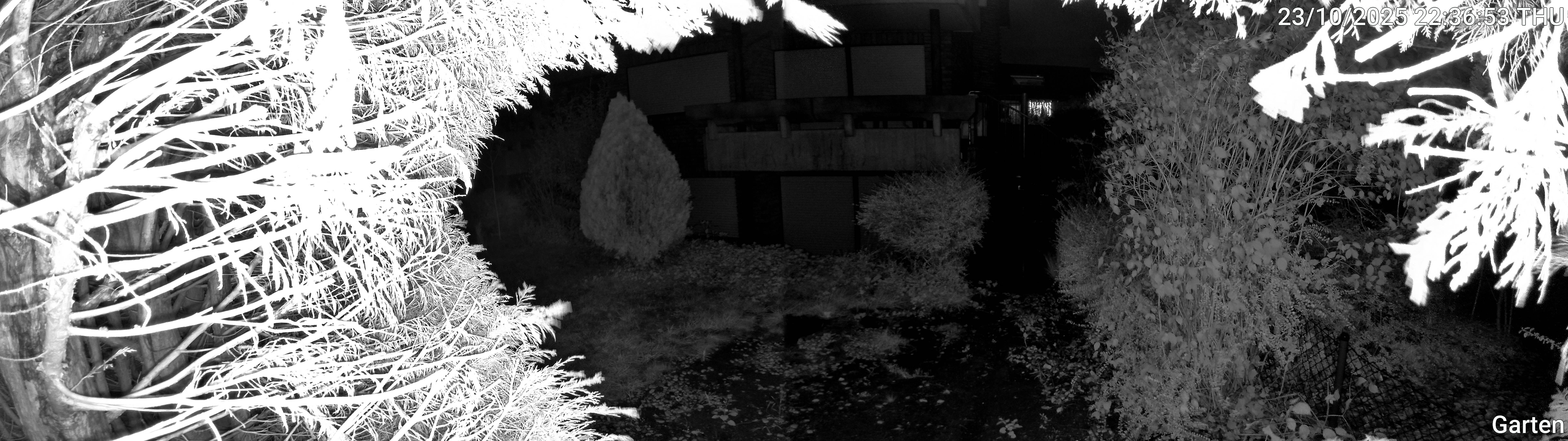 Garten_00_20251023223653.jpg
