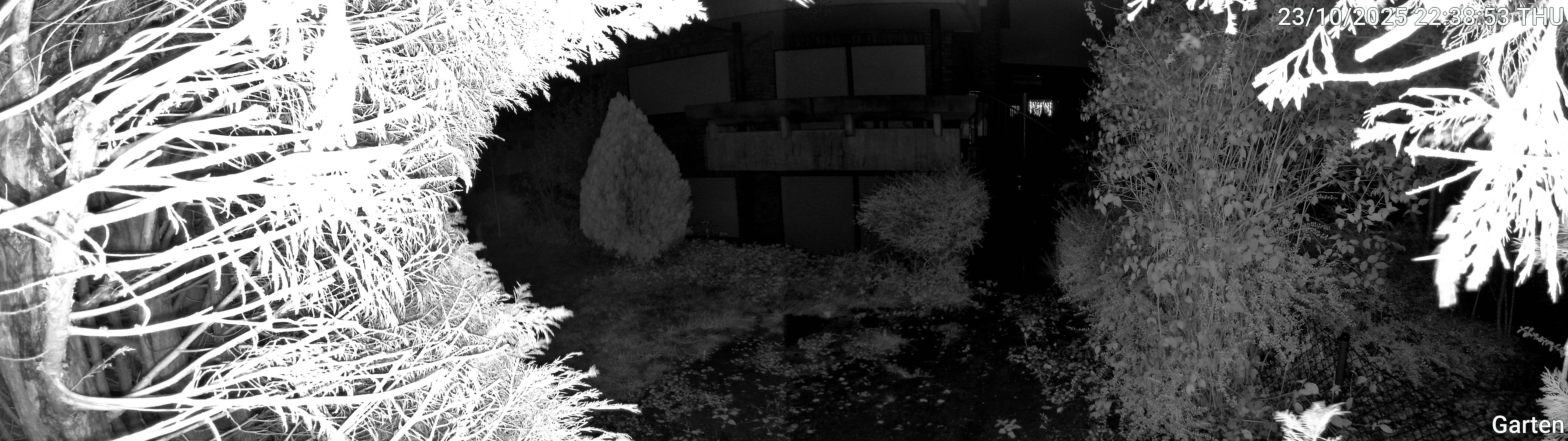 Garten_00_20251023223853.jpg