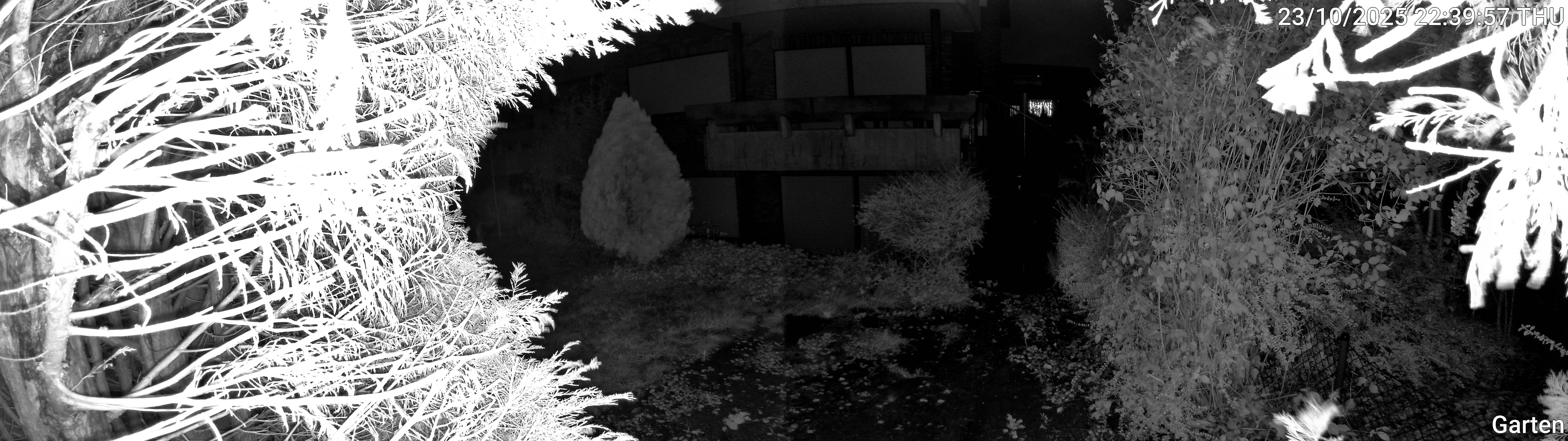 Garten_00_20251023223957.jpg