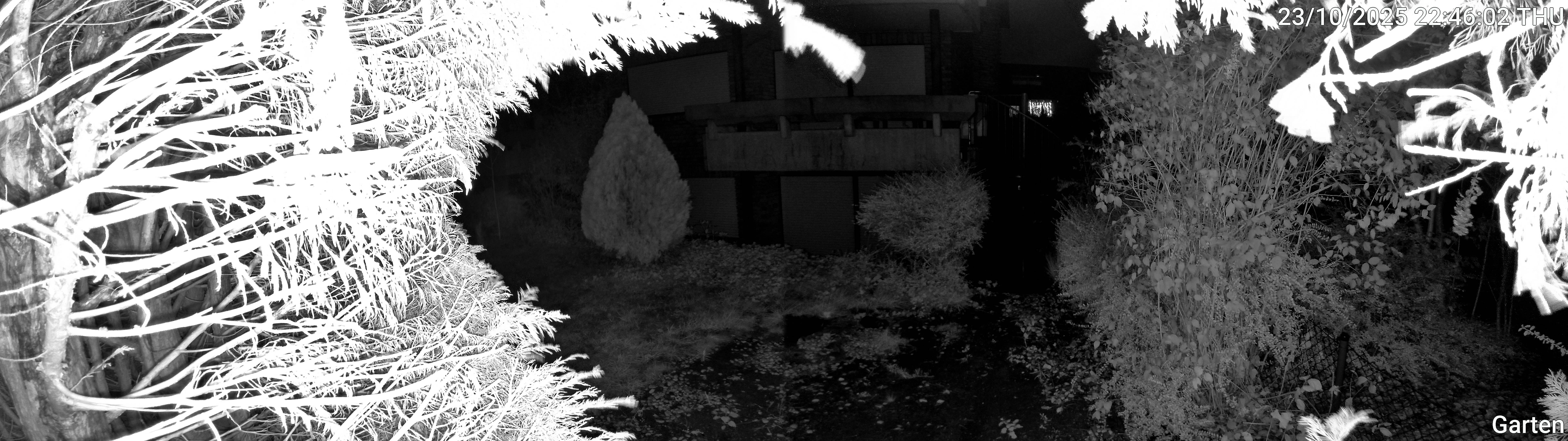 Garten_00_20251023224603.jpg