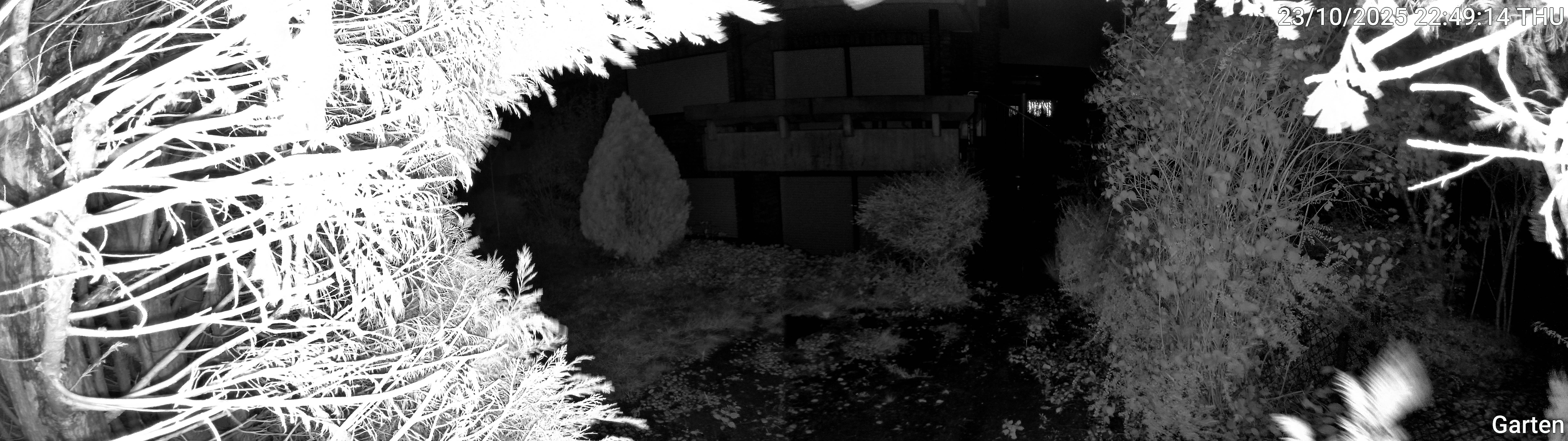 Garten_00_20251023224914.jpg