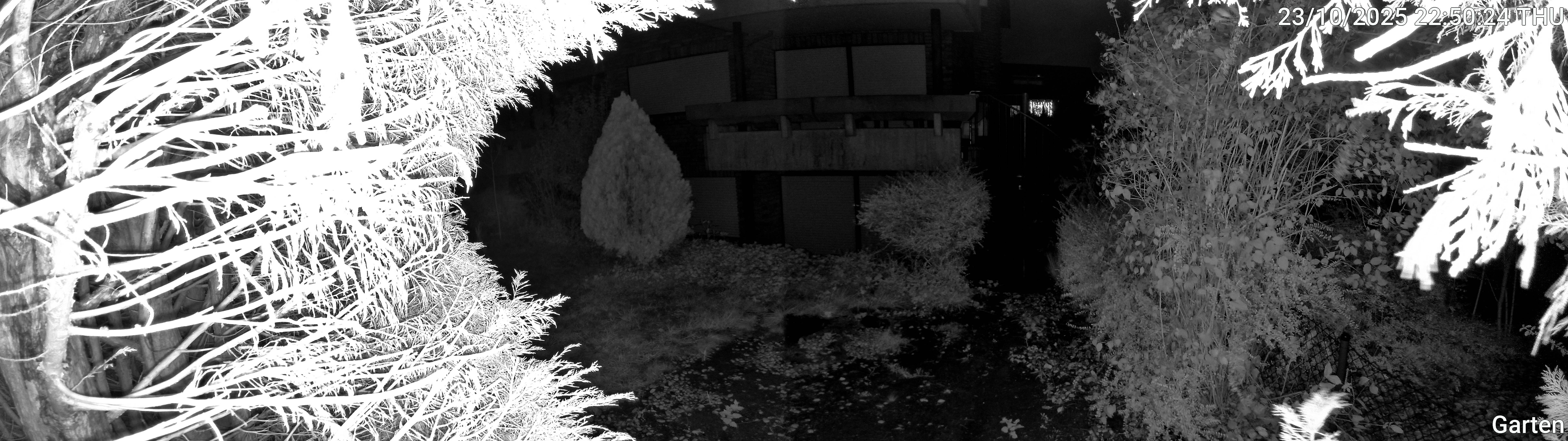 Garten_00_20251023225024.jpg