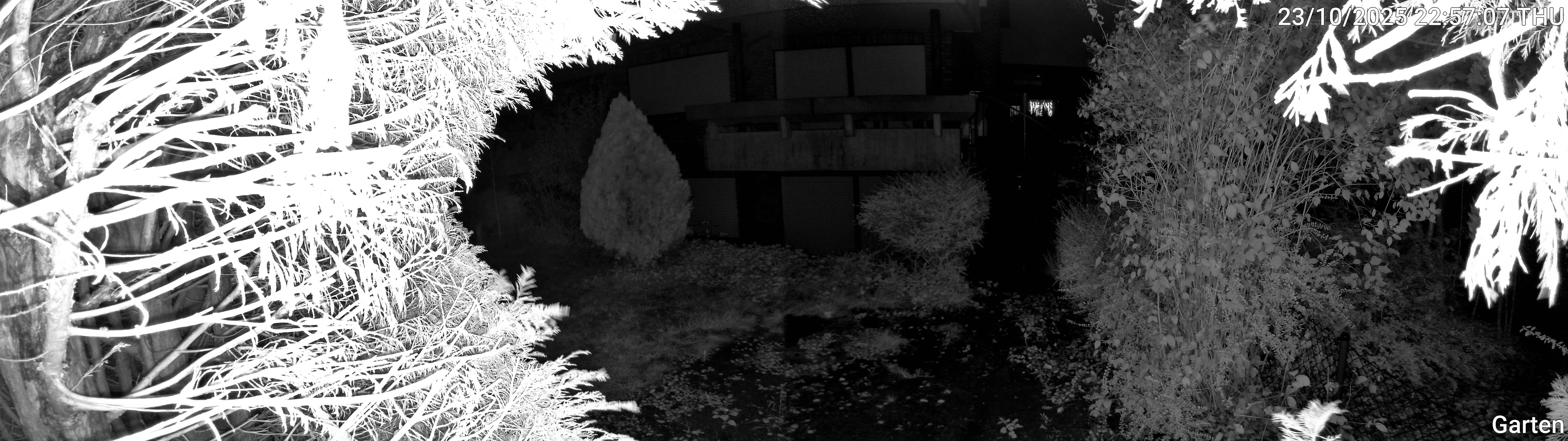 Garten_00_20251023225707.jpg