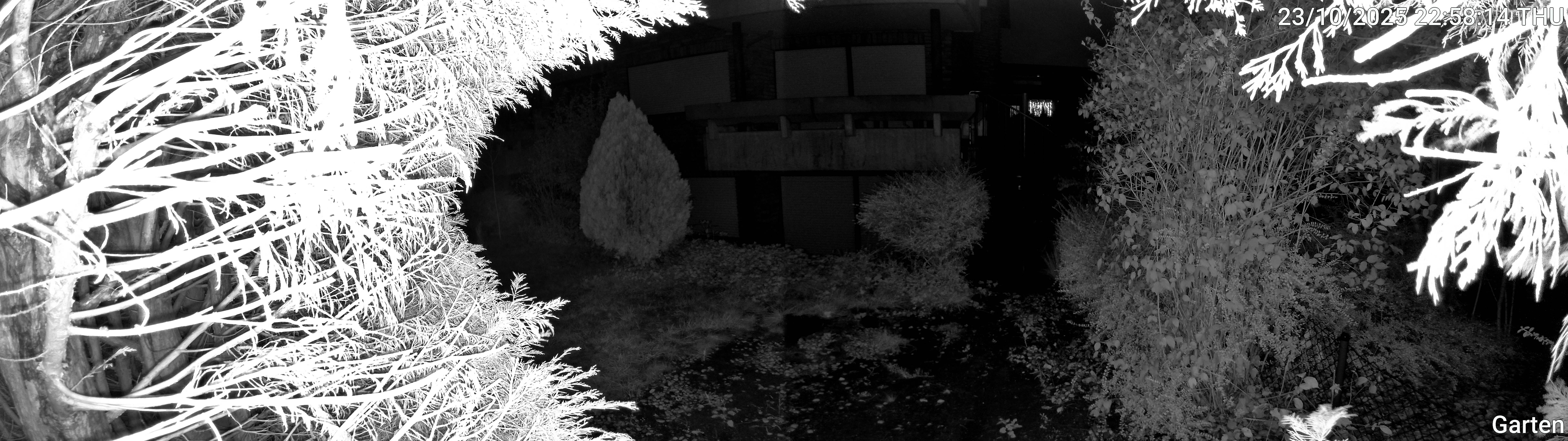 Garten_00_20251023225815.jpg