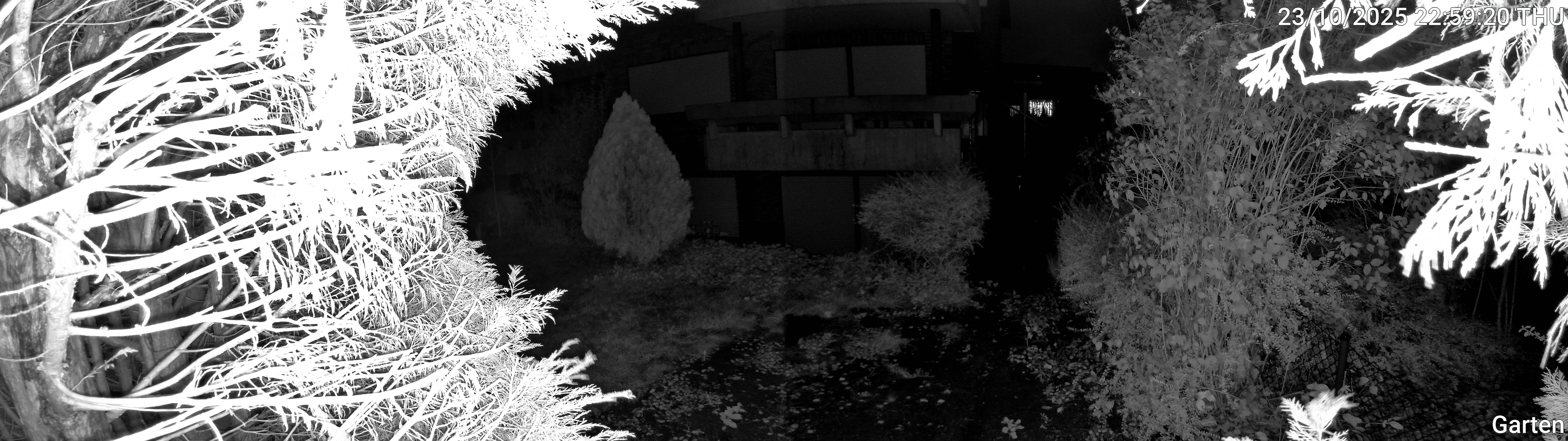 Garten_00_20251023225920.jpg