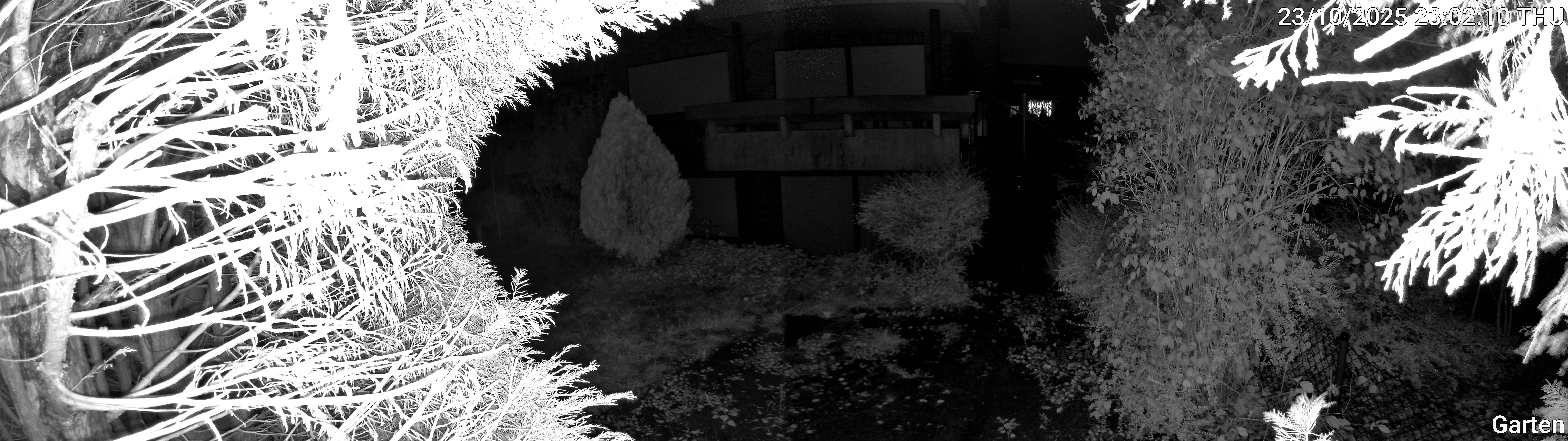 Garten_00_20251023230210.jpg