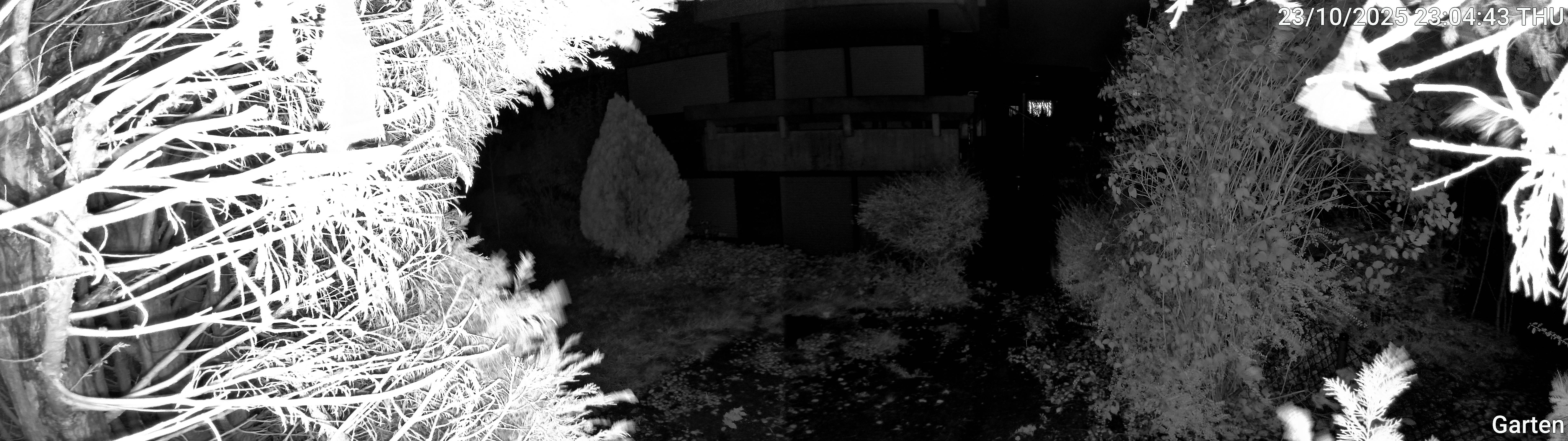 Garten_00_20251023230443.jpg