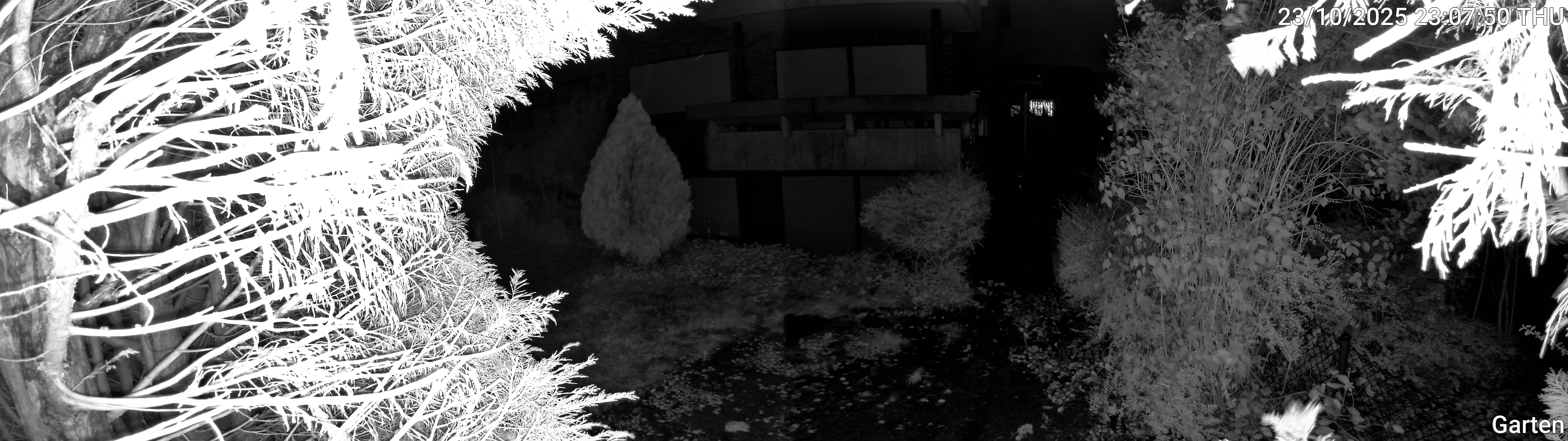 Garten_00_20251023230751.jpg