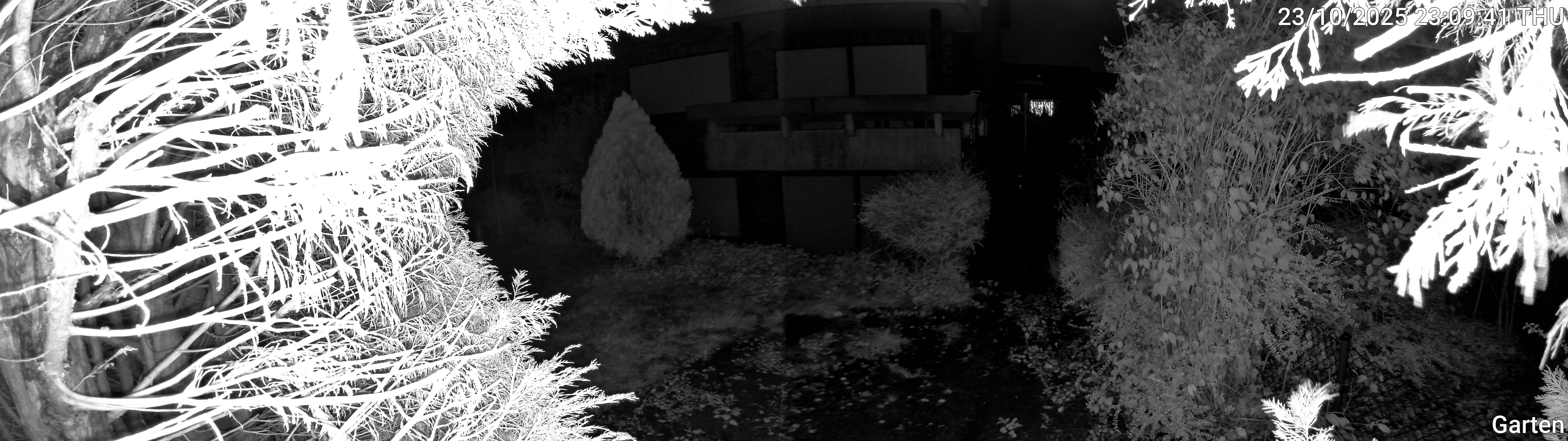 Garten_00_20251023230941.jpg