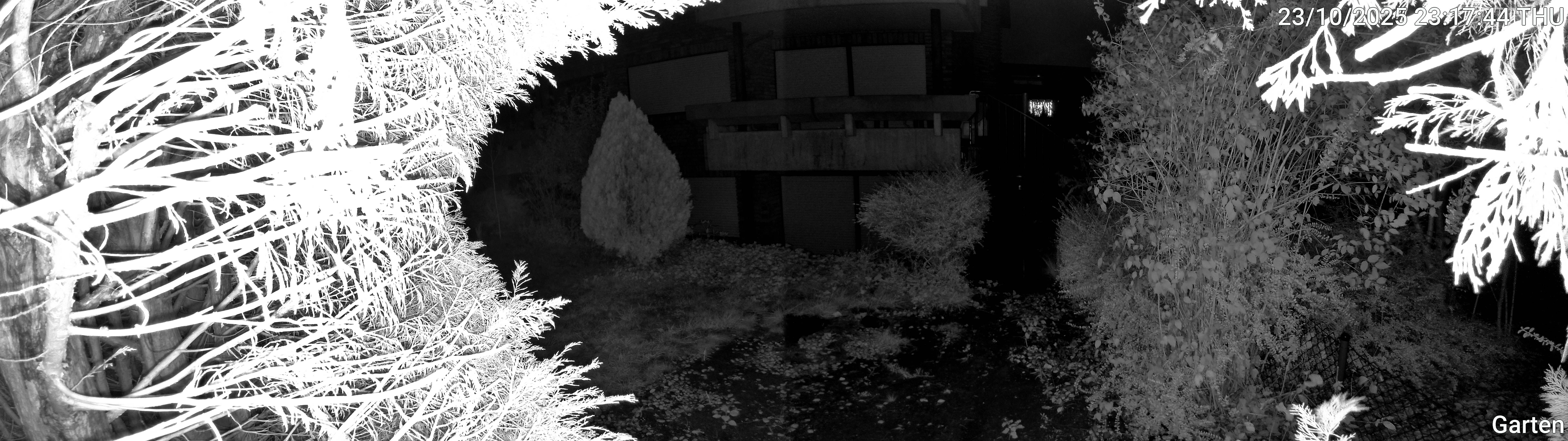 Garten_00_20251023231744.jpg