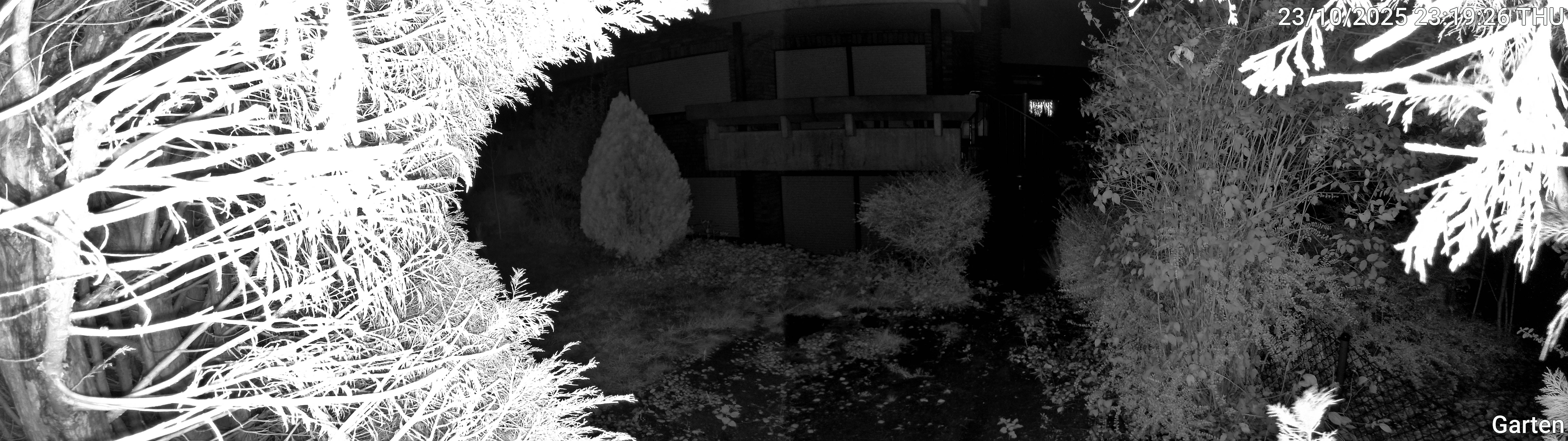 Garten_00_20251023231927.jpg