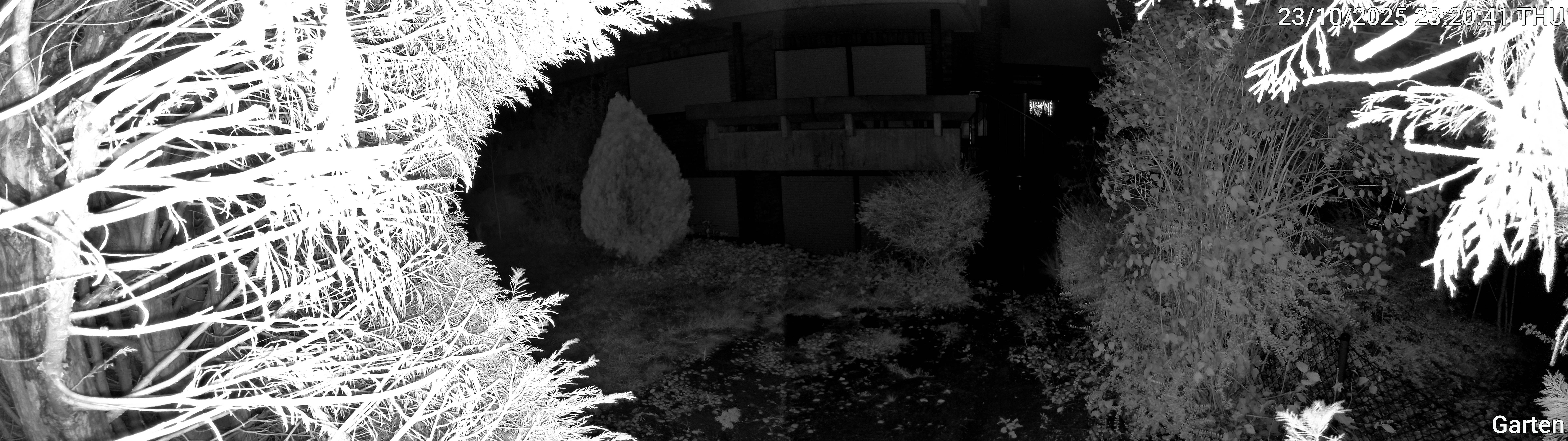 Garten_00_20251023232041.jpg