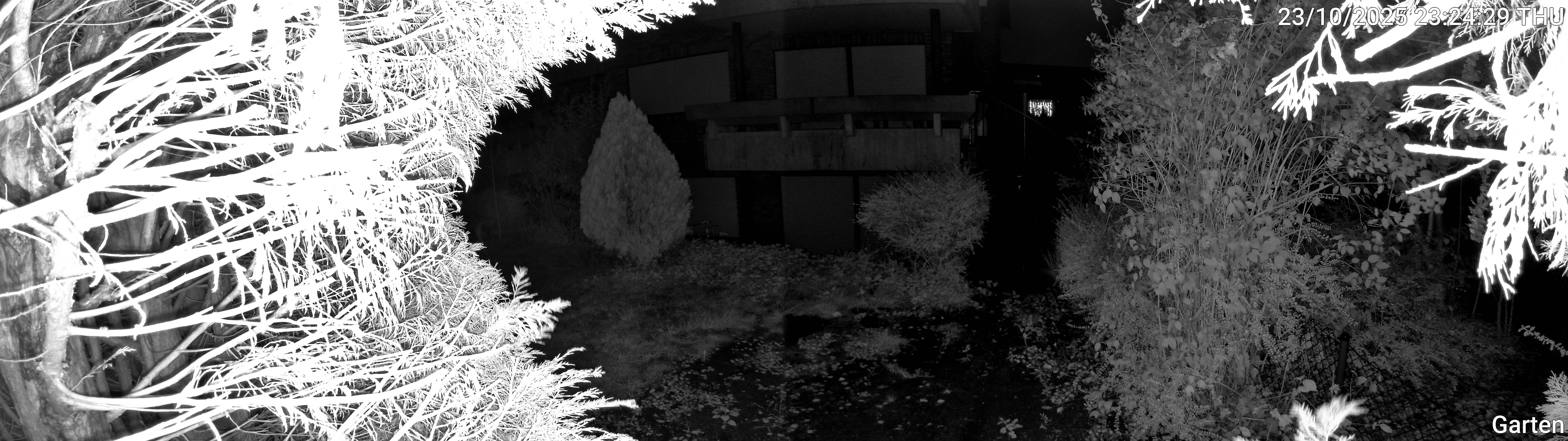 Garten_00_20251023232430.jpg