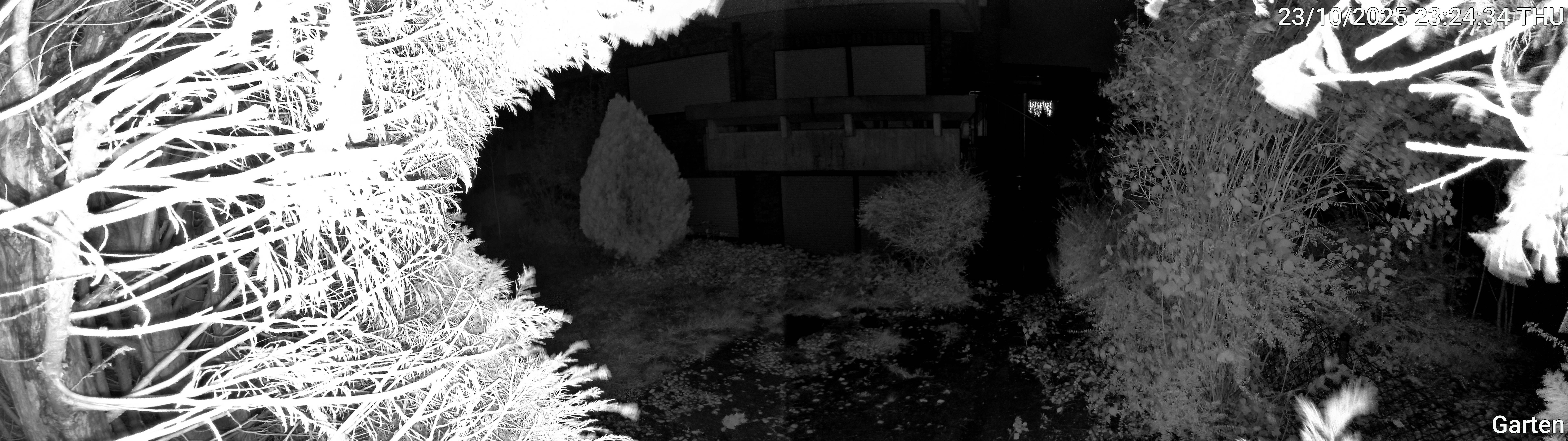 Garten_00_20251023232434.jpg