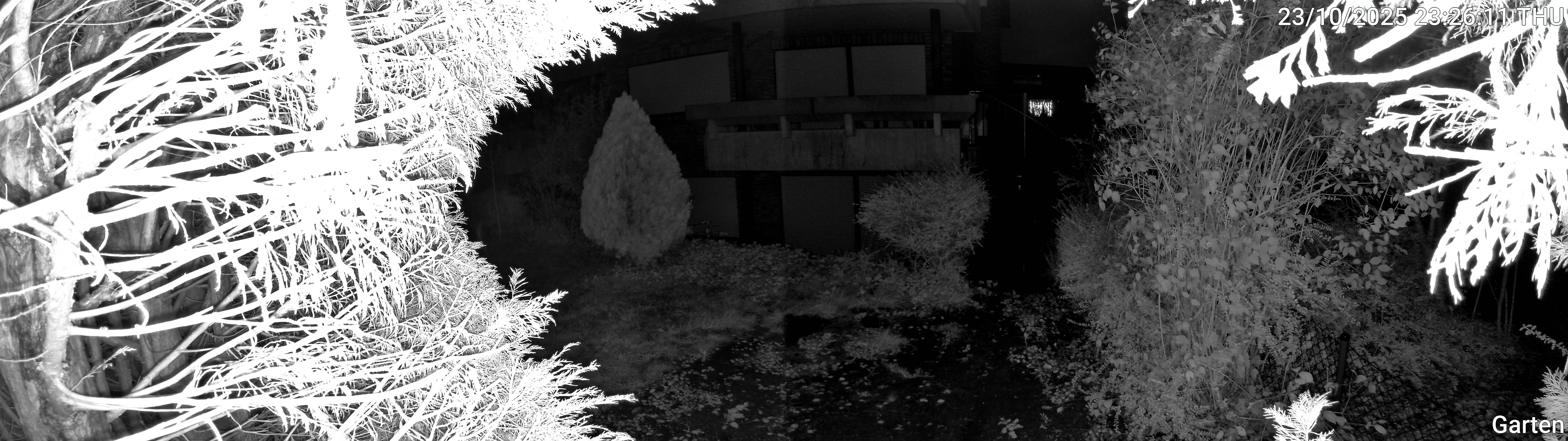 Garten_00_20251023232612.jpg