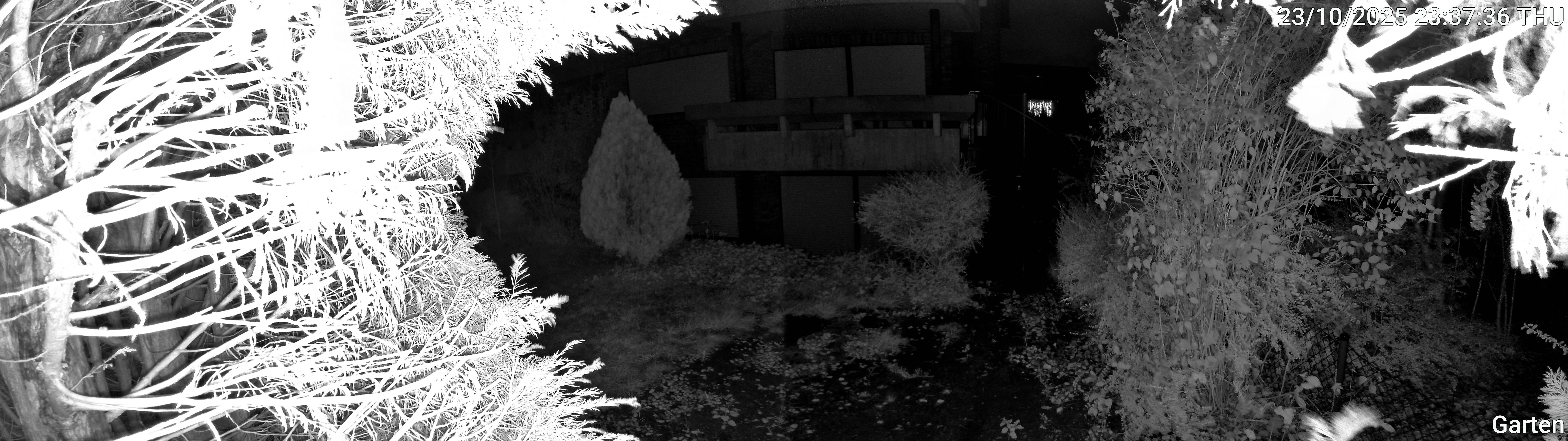 Garten_00_20251023233736.jpg