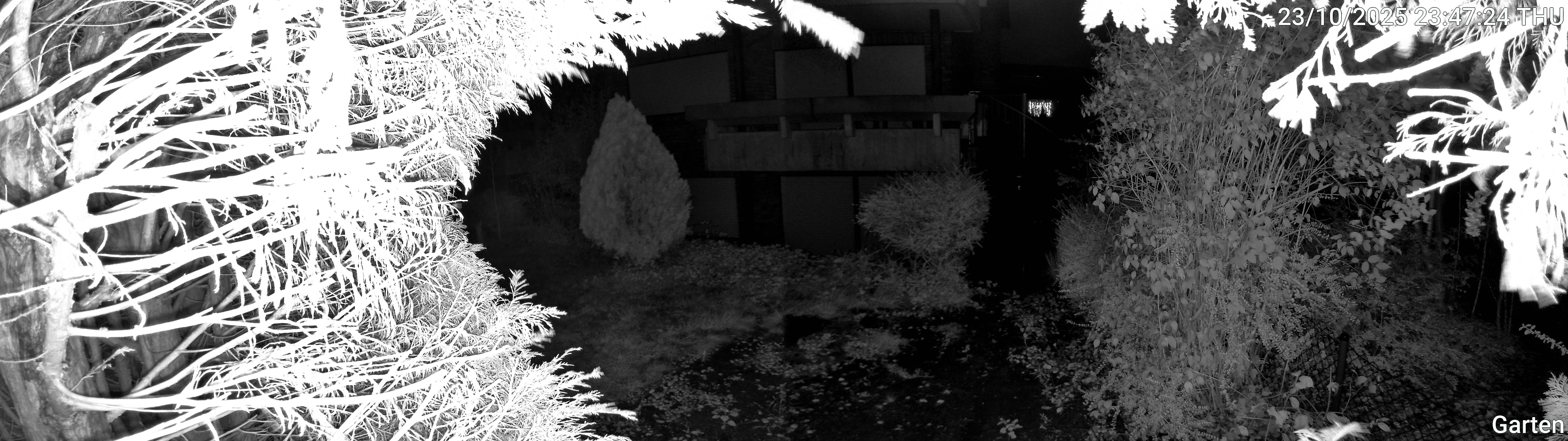Garten_00_20251023234724.jpg