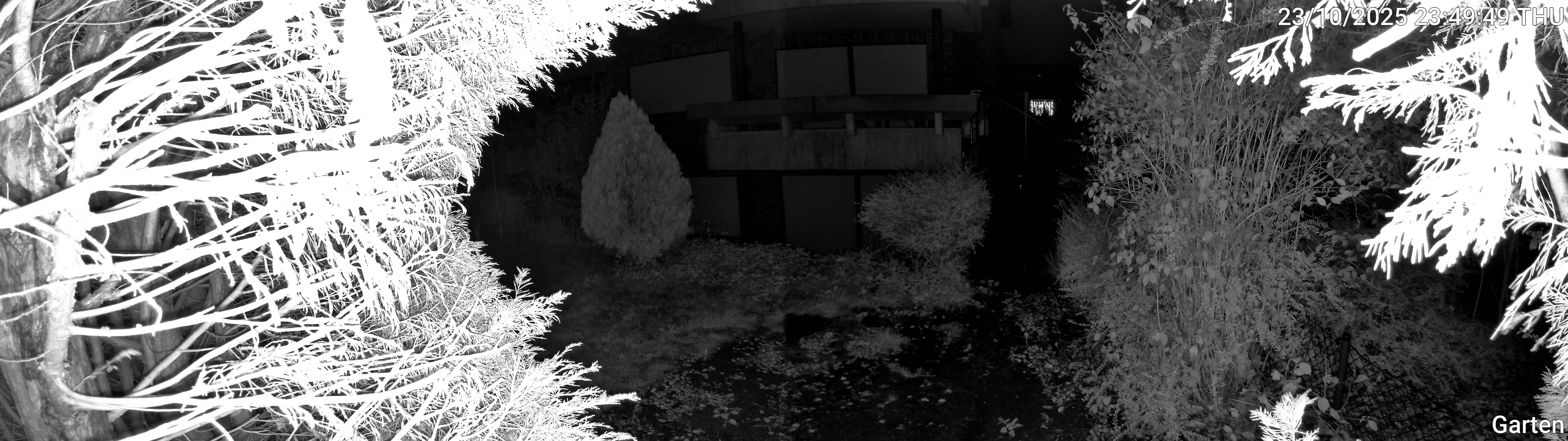Garten_00_20251023234949.jpg