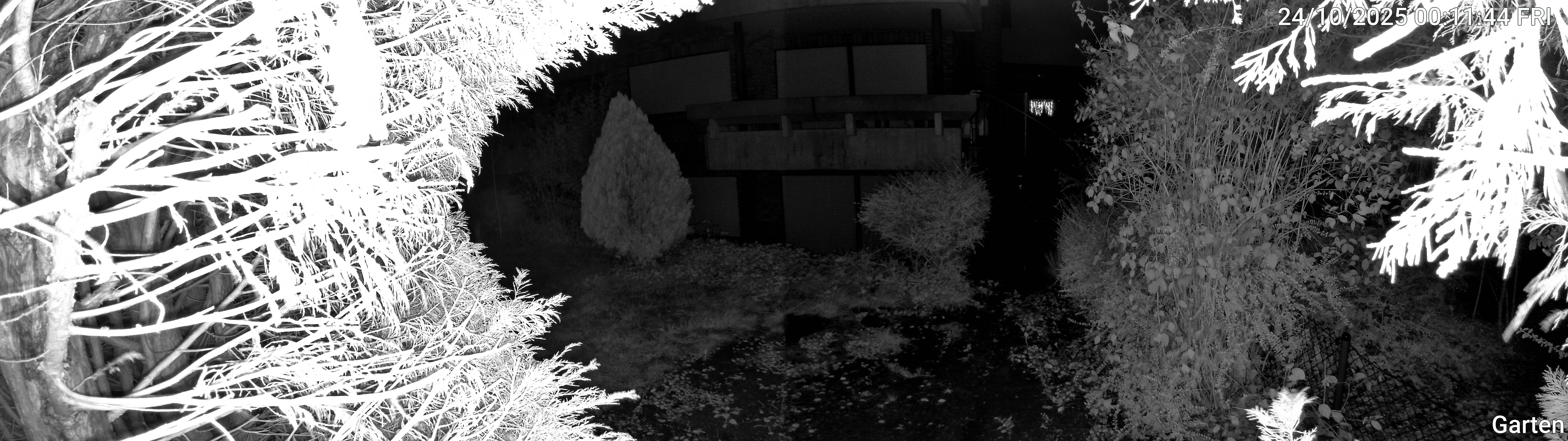 Garten_00_20251024001144.jpg