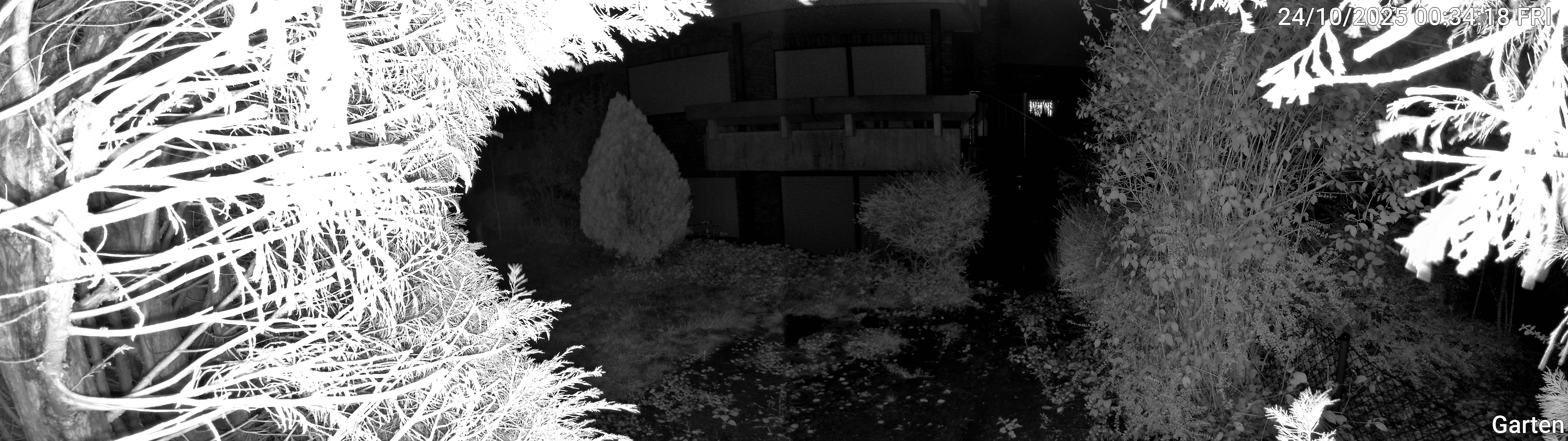 Garten_00_20251024003418.jpg