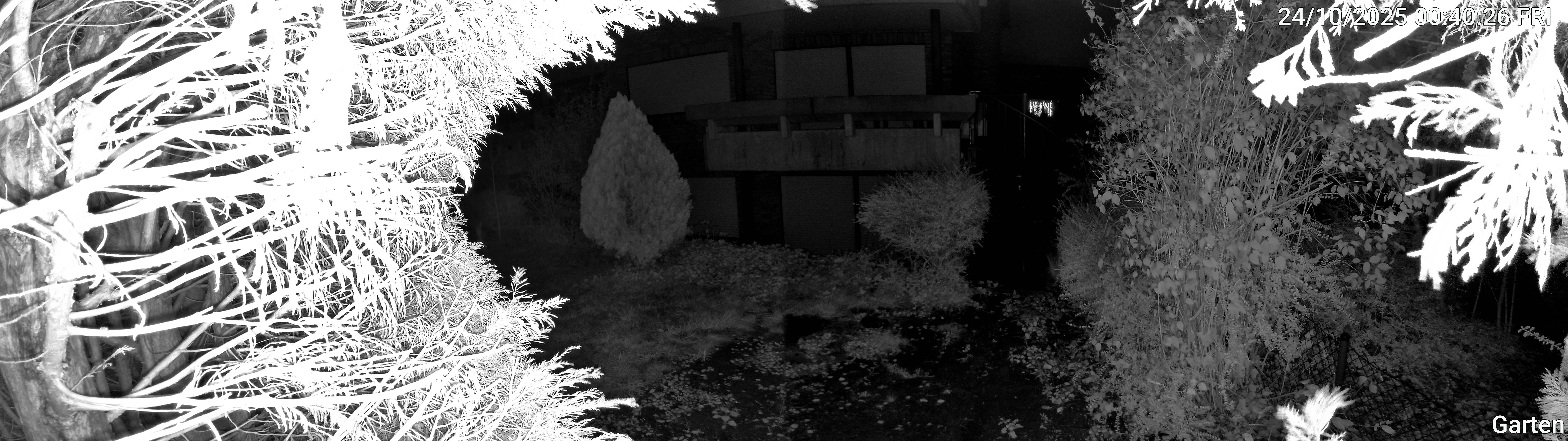 Garten_00_20251024004026.jpg