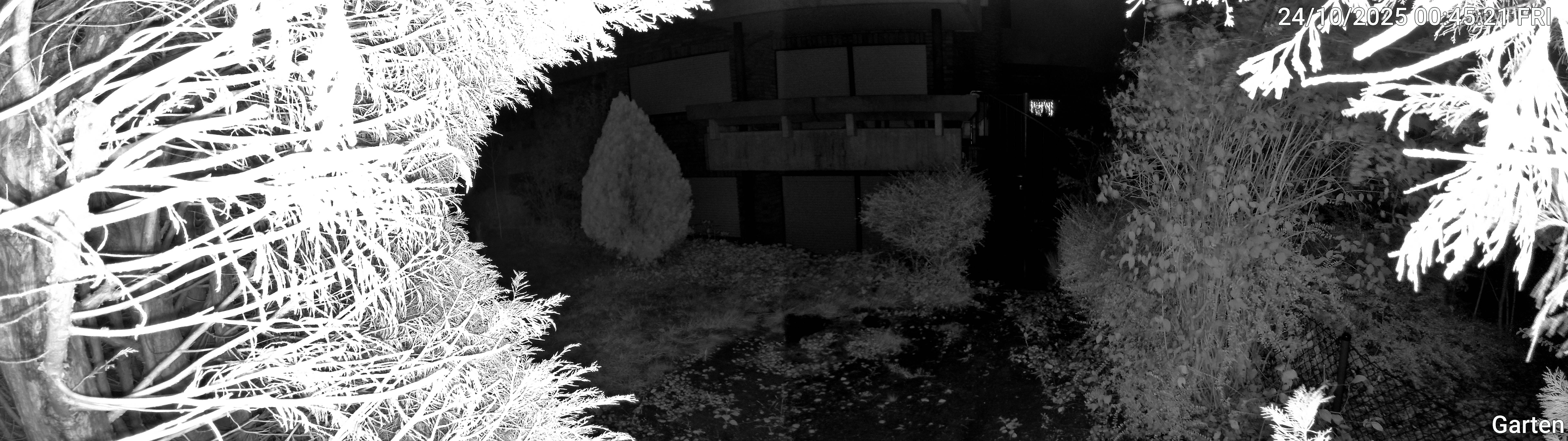 Garten_00_20251024004522.jpg