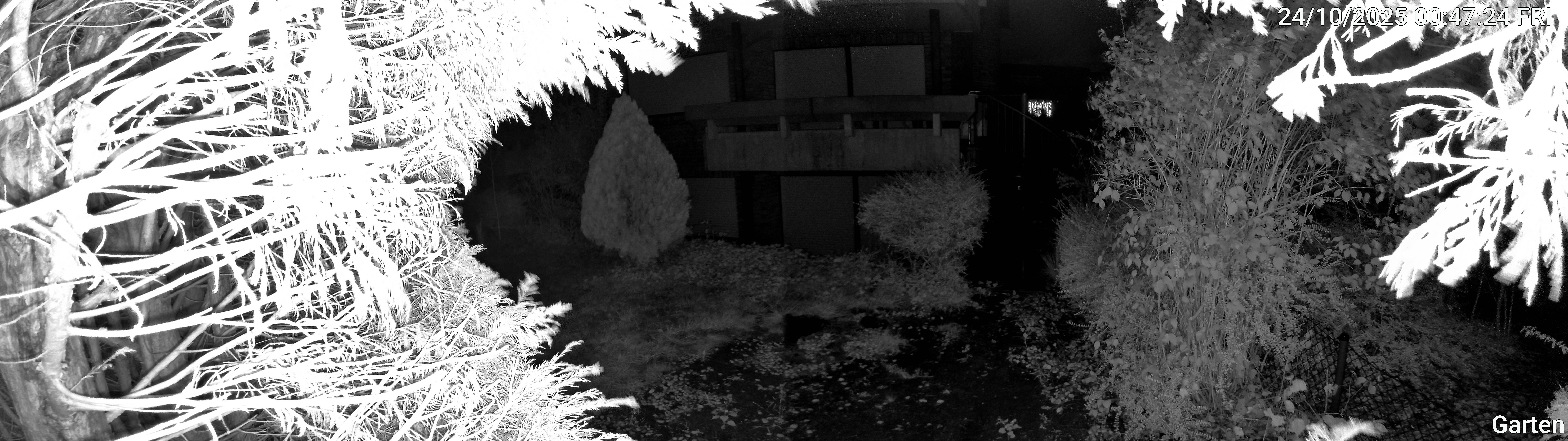Garten_00_20251024004725.jpg
