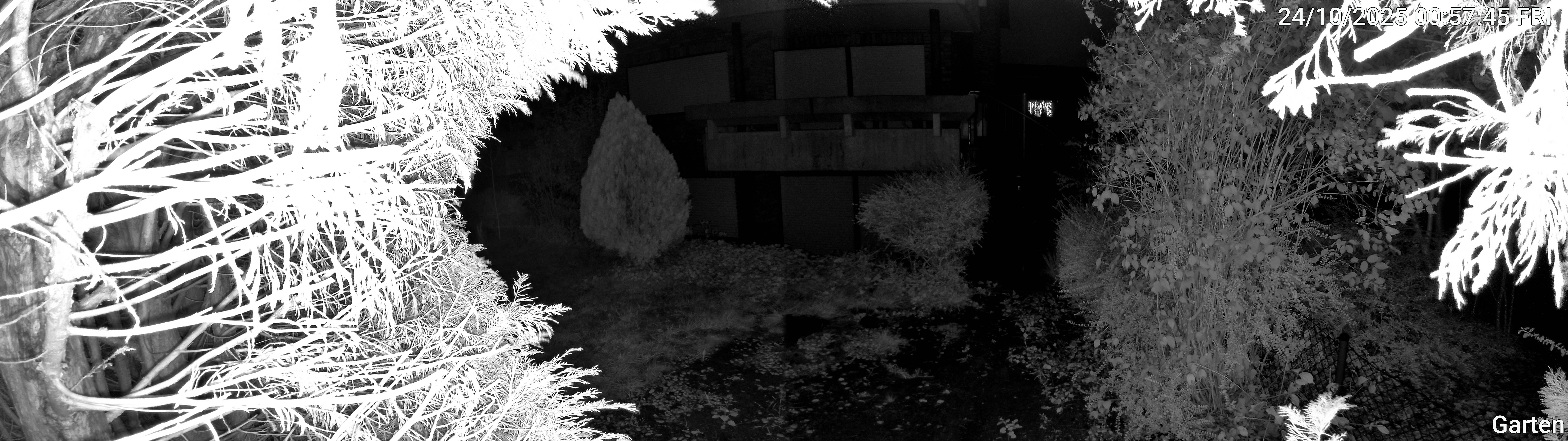 Garten_00_20251024005746.jpg