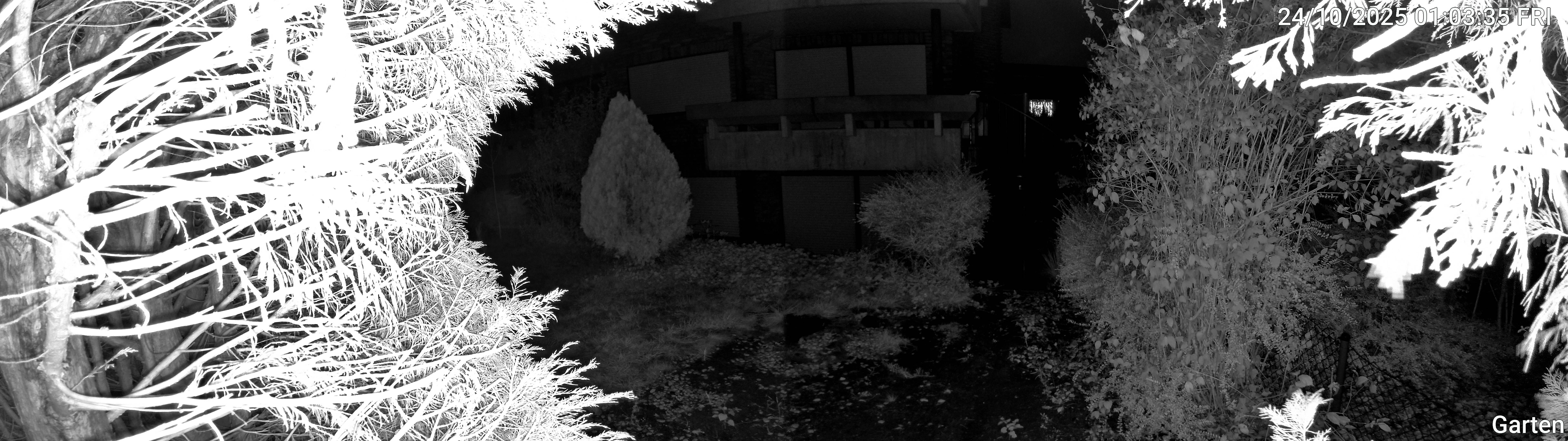 Garten_00_20251024010335.jpg