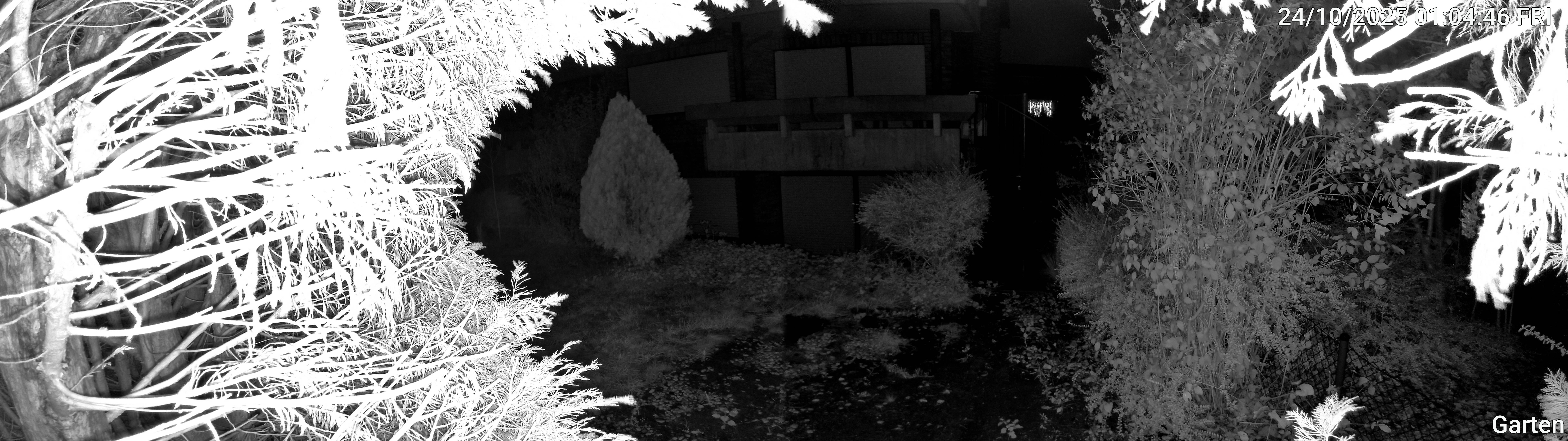 Garten_00_20251024010446.jpg