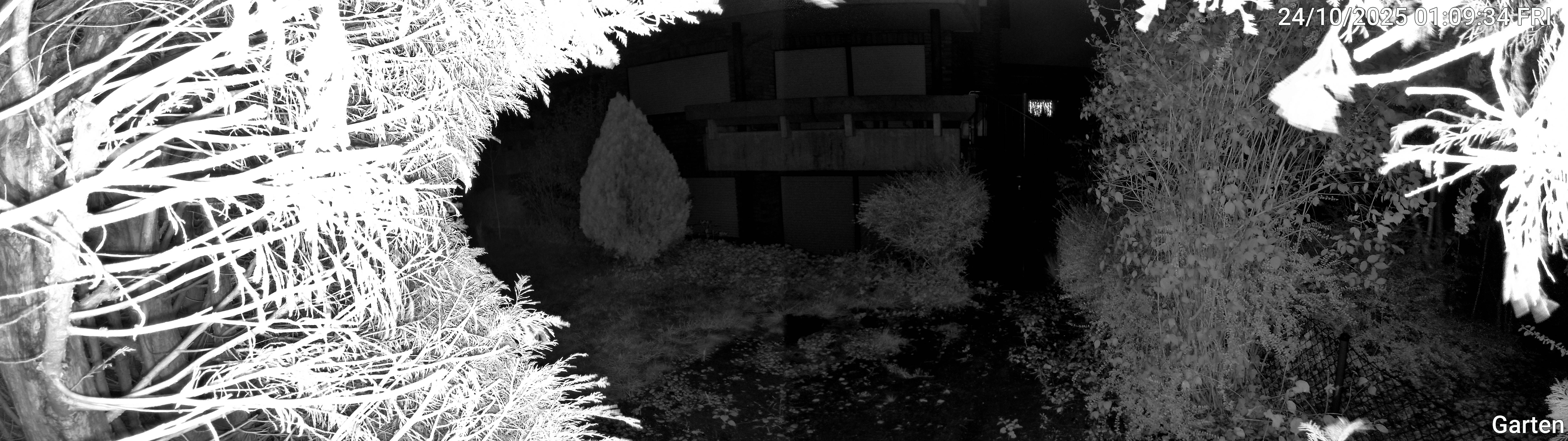 Garten_00_20251024010934.jpg