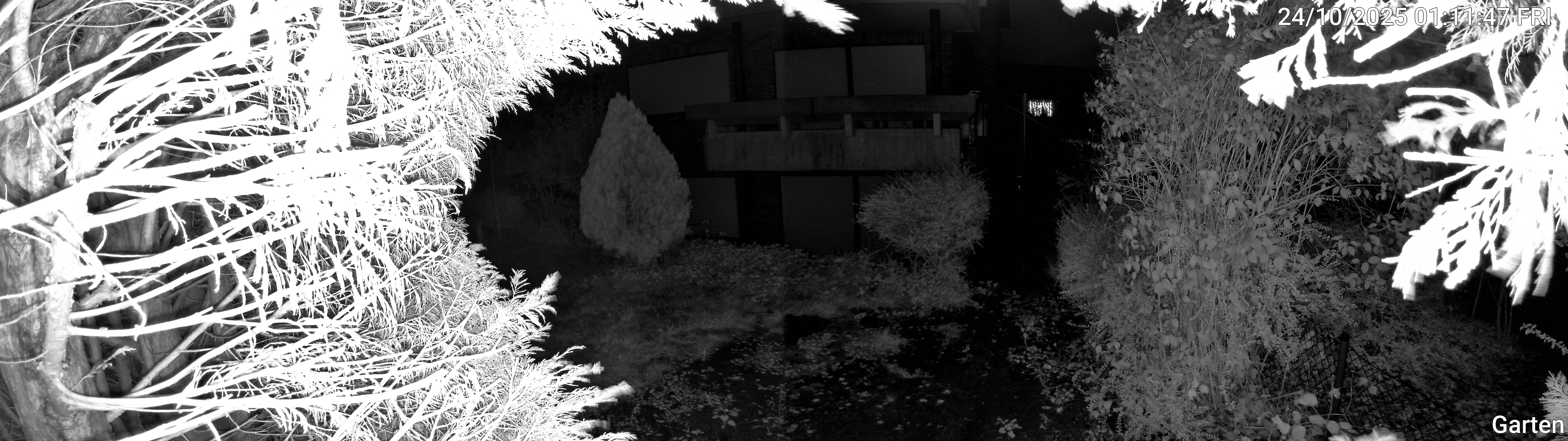 Garten_00_20251024011147.jpg