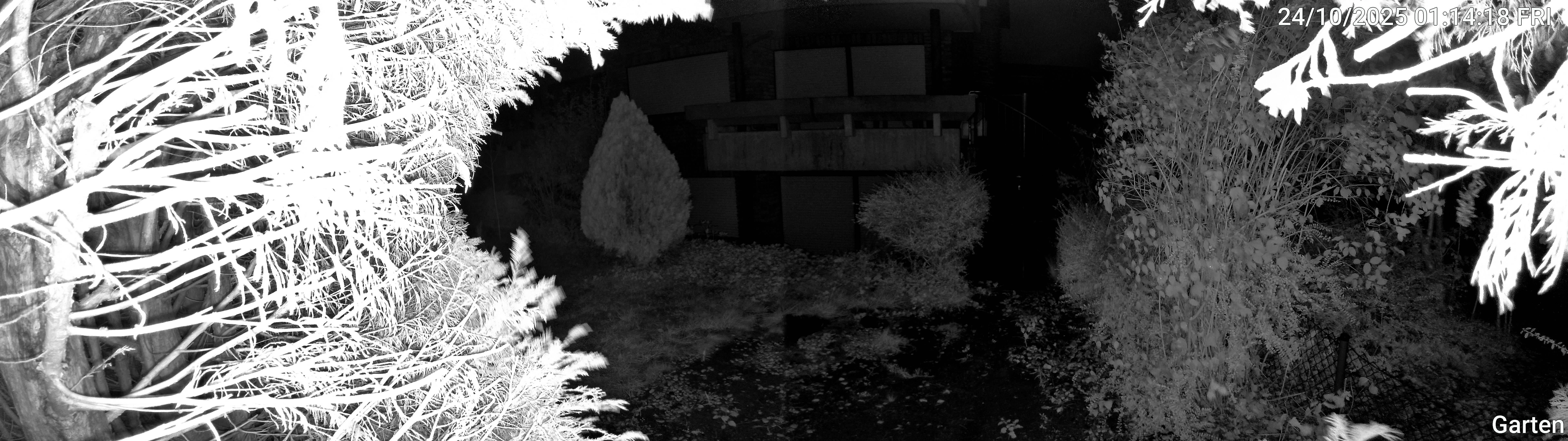 Garten_00_20251024011419.jpg